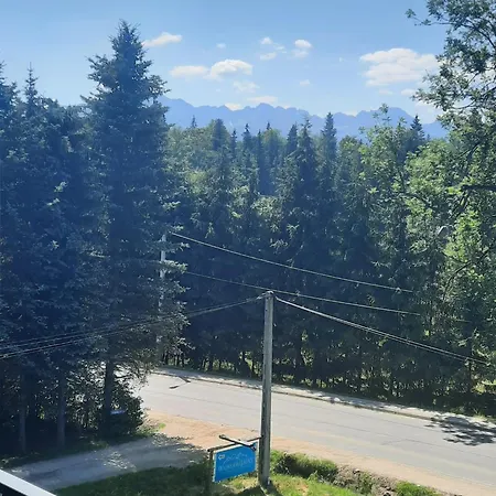 Rabianka Daire Poronin